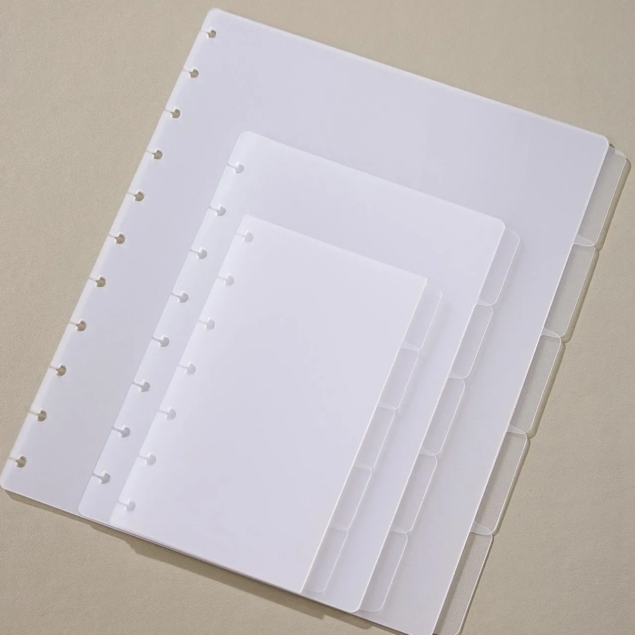 Levenger Circa Clear Discbound Notebook Dividers (set of 5)