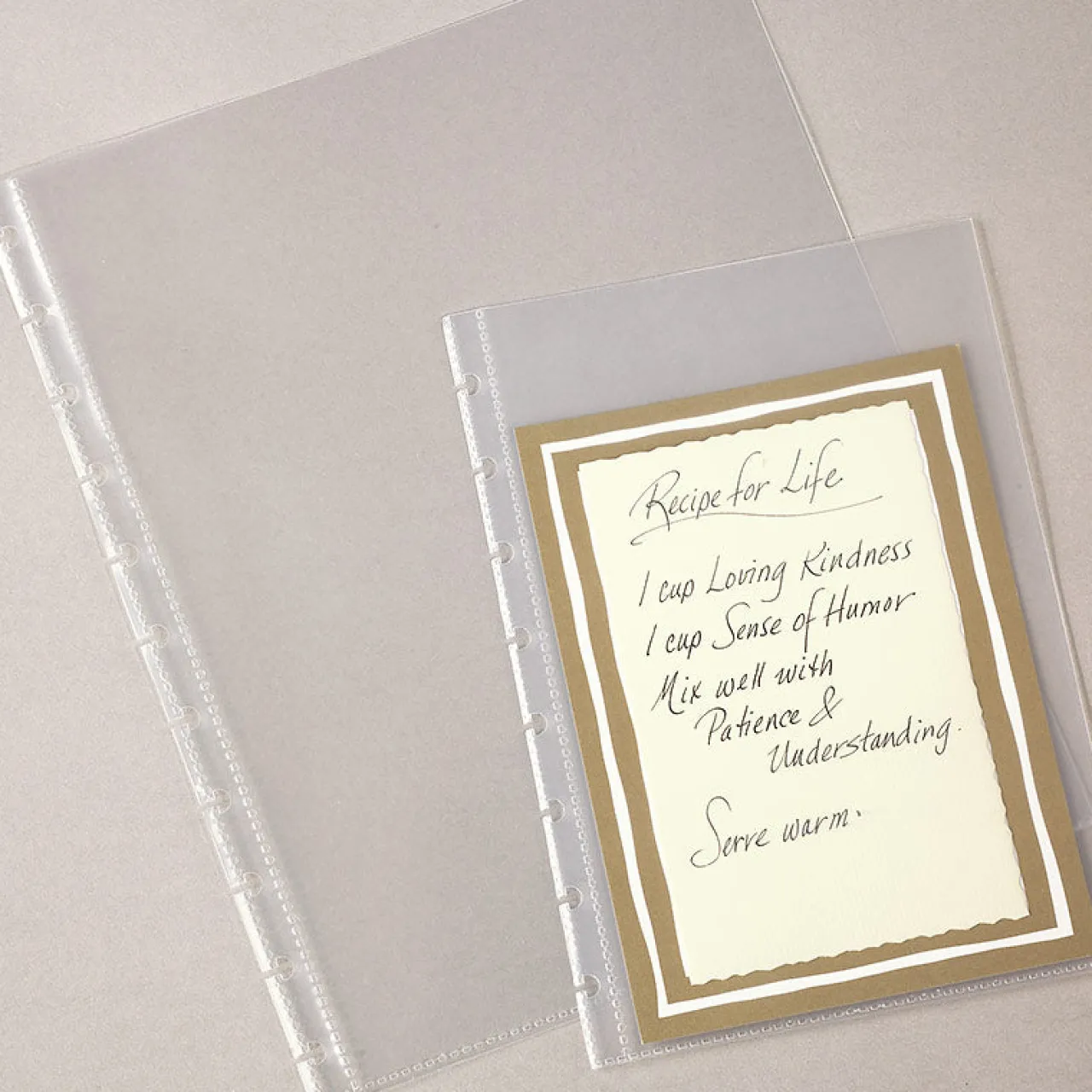 Levenger Circa Discbound Notebook Sheet Protectors (set of 5) Online