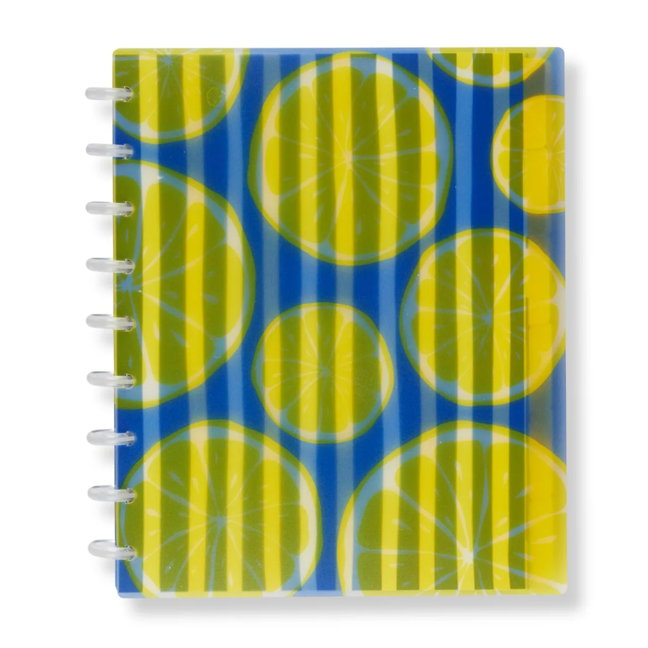 Levenger Circa Lemonade Weekly/Monthly Undated Agenda Notebook Best