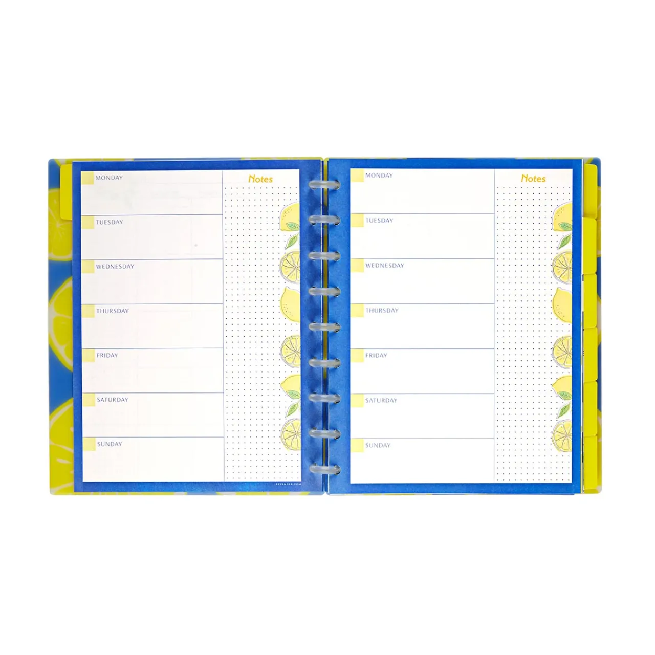 Levenger Circa Lemonade Weekly/Monthly Undated Agenda Notebook Best