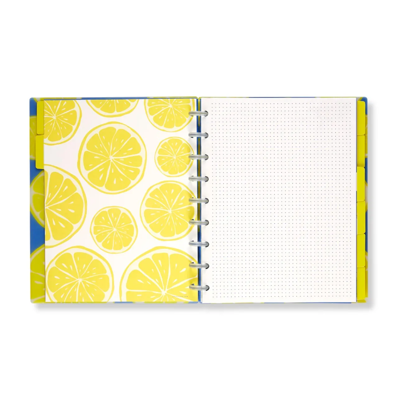 Levenger Circa Lemonade Weekly/Monthly Undated Agenda Notebook Best