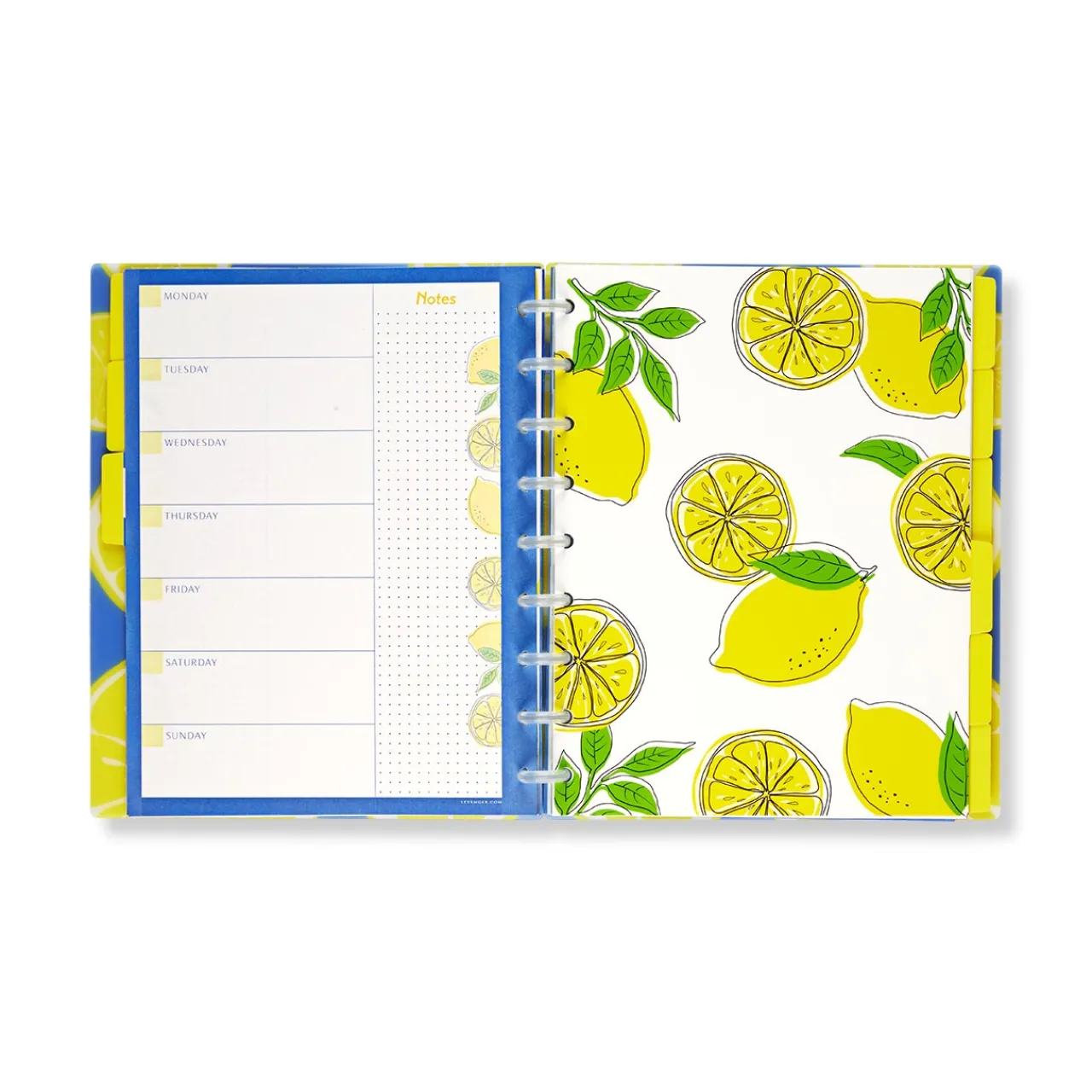 Levenger Circa Lemonade Weekly/Monthly Undated Agenda Notebook Best