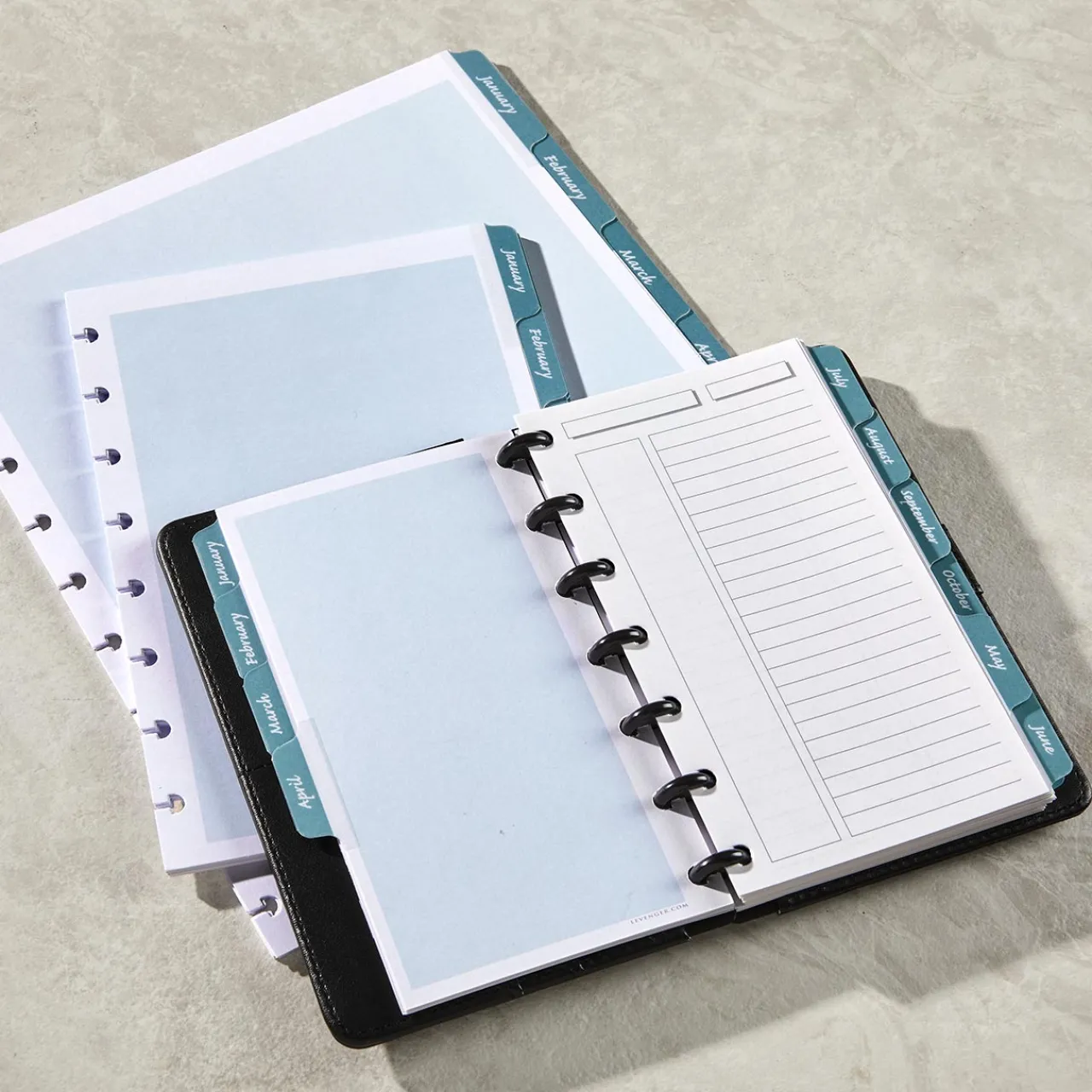 Levenger Circa Monthly Tab Dividers (set of 12) Hot