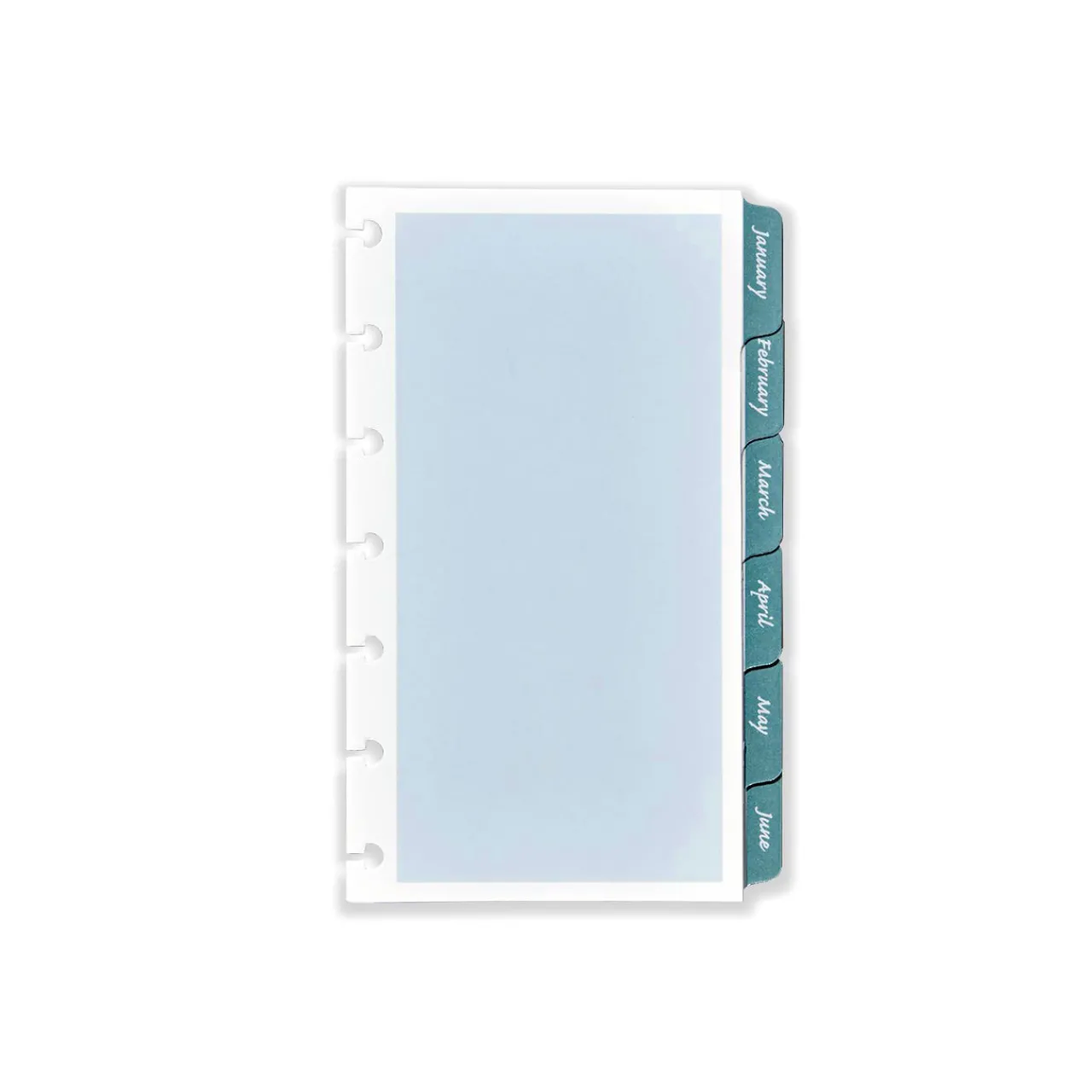 Levenger Circa Monthly Tab Dividers (set of 12) Hot
