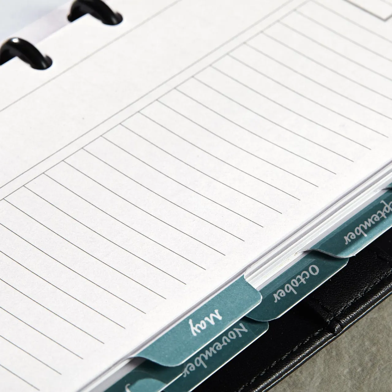 Levenger Circa Monthly Tab Dividers (set of 12) Hot