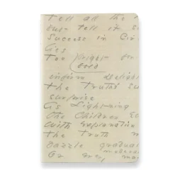 Levenger Emily Dickinson True Notes (set of 2)