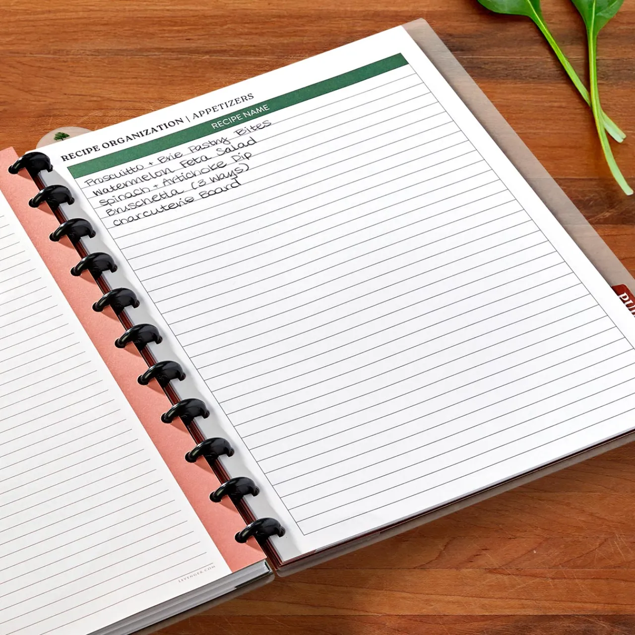 Levenger Master Class How to Write a Cookbook Circa Workbook Clearance