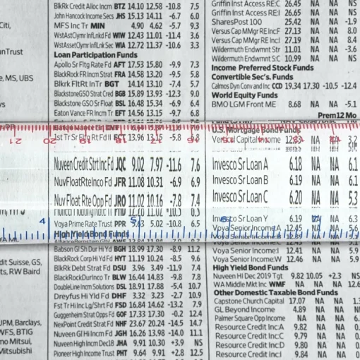 Levenger Magnifier Ruler Clear / Translucent Outlet