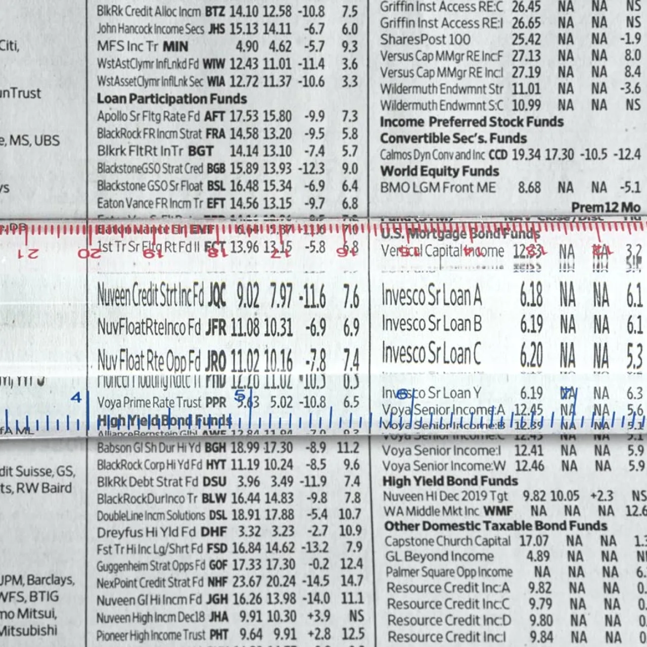 Levenger Magnifier Ruler Clear / Translucent Outlet