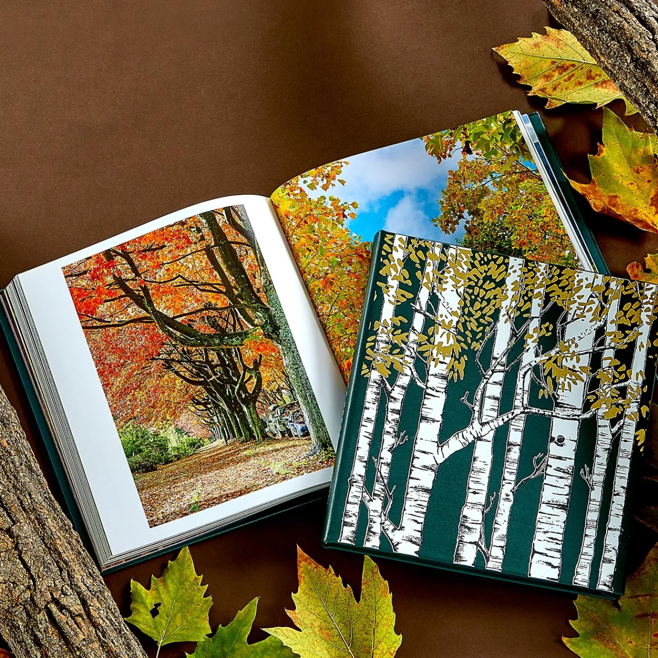 Levenger The Hidden Life of Trees Leather Bound Edition Hot