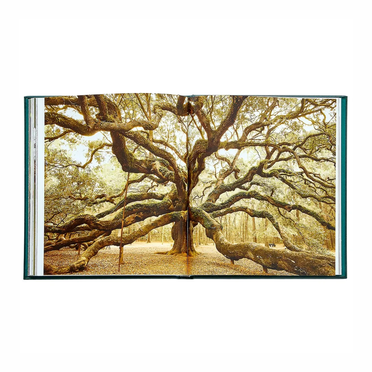 Levenger The Hidden Life of Trees Leather Bound Edition Hot
