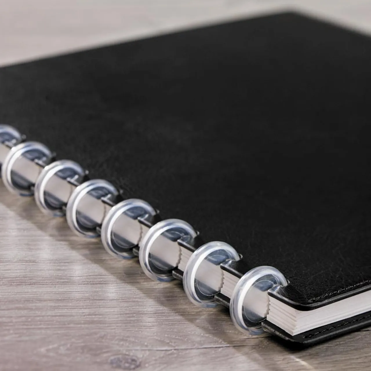Levenger Translucent Circa Notebook Discs (set of 22) Discount
